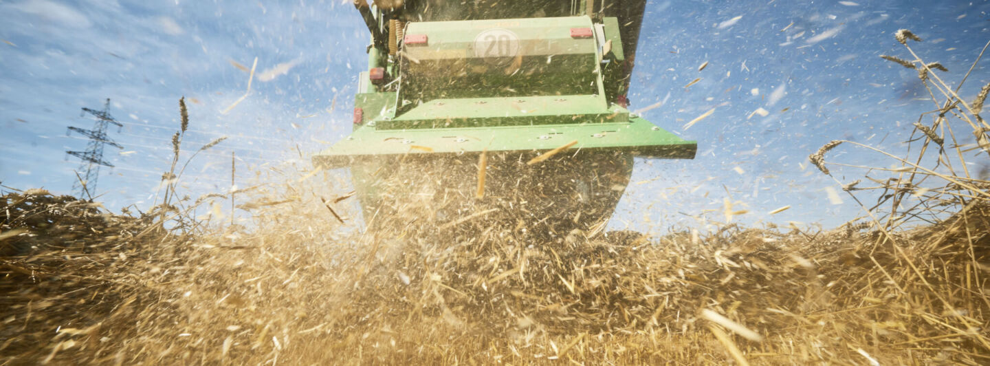 Projekt von RWZ und BASF: Sie arbeiten an nachhaltiger und klimaresistenter Wertschöpfung in der Landwirtschaft