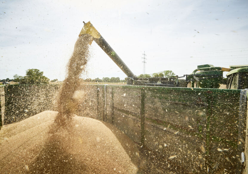 KlimaPartner Landwirtschaft von RWZ und BASF vermarktet ersten klimaoptimierten Weizen in Kooperation mit Dossche Mills