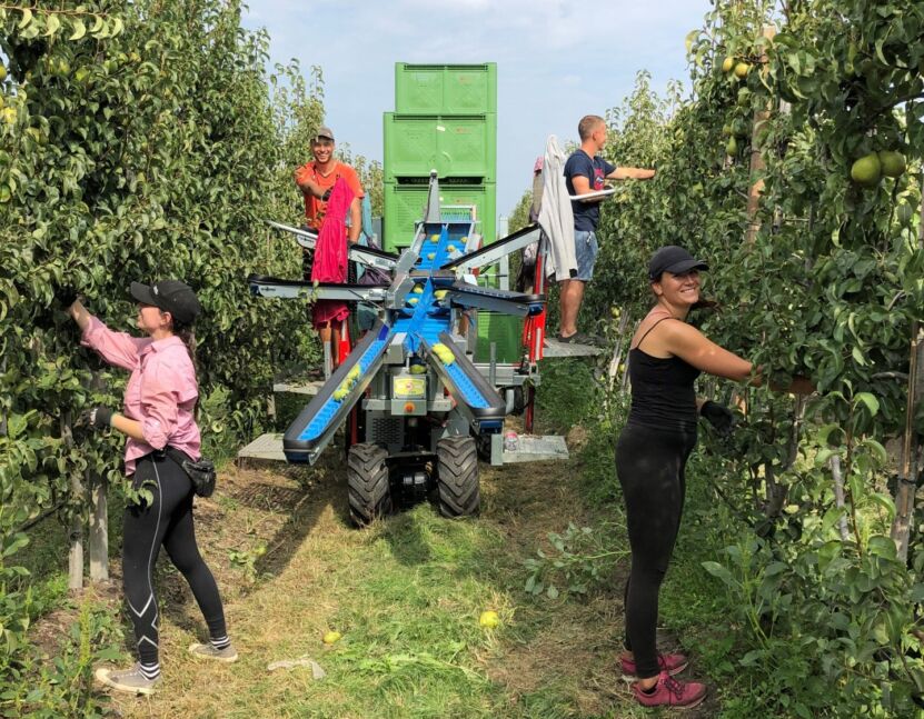 Der zu 100 % elektrische Pluk-O-Trak ist eine bahnbrechende Lösung für Obstbauern, die auf Nachhaltigkeit, Gesundheit und Sicherheit Wert legen. - Copyright: Munckhof Fruit Tech Innovators